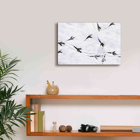 Image of 'Bird's footprints' by Epic Portfolio, Giclee Canvas Wall Art,18x12