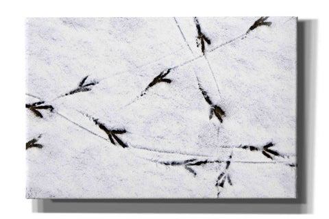 Image of 'Bird's footprints' by Epic Portfolio, Giclee Canvas Wall Art