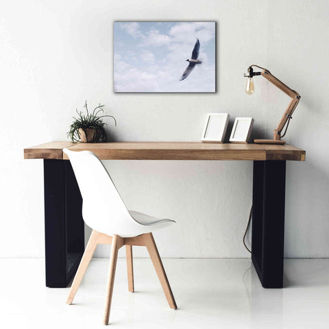 Image of 'Sky Cruising' by Epic Portfolio, Giclee Canvas Wall Art,26x18