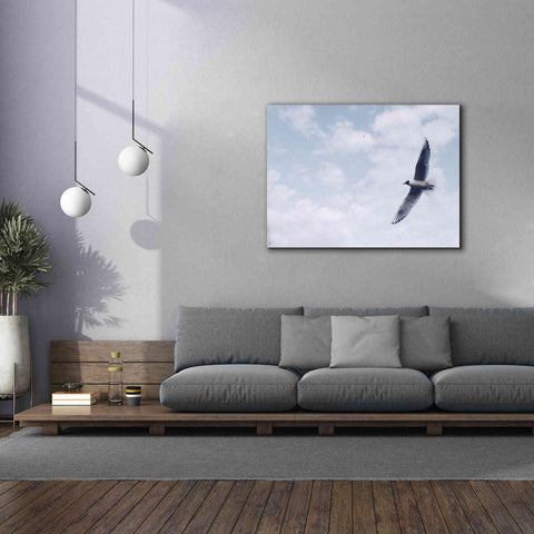 Image of 'Sky Cruising' by Epic Portfolio, Giclee Canvas Wall Art,54x40