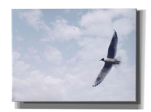 Image of 'Sky Cruising' by Epic Portfolio, Giclee Canvas Wall Art