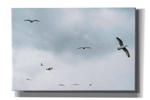 Image of 'Sky Patrol' by Epic Portfolio, Giclee Canvas Wall Art