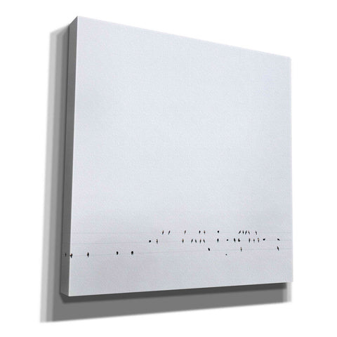 Image of 'Winter Sky' by Epic Portfolio, Giclee Canvas Wall Art