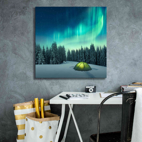 Image of 'Northern Lights In Winter Forest 1' by Epic Portfolio, Giclee Canvas Wall Art,26x26