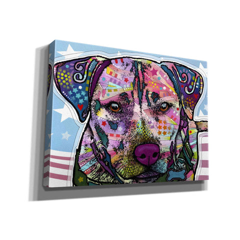 Image of 'Dakota 1' by Dean Russo, Giclee Canvas Wall Art