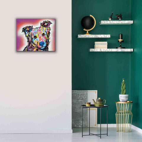 Image of 'Collied' by Dean Russo, Giclee Canvas Wall Art,24x20