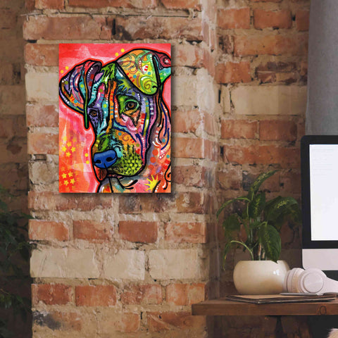 Image of 'Zen' by Dean Russo, Giclee Canvas Wall Art,12x16