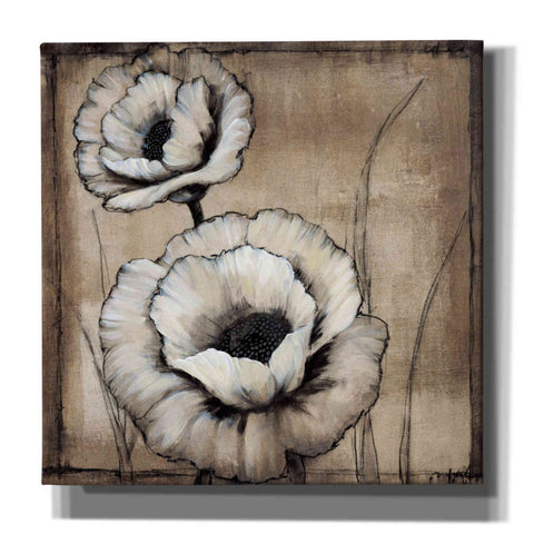 Image of 'Neutral Poppies II' by Tim O'Toole, Canvas Wall Art