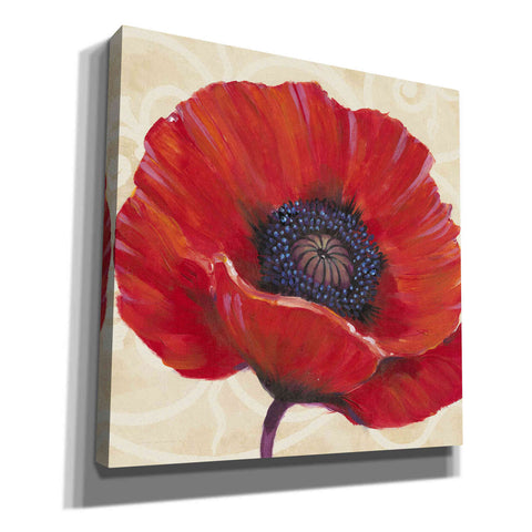 Image of 'Red Poppy I' by Tim O'Toole, Canvas Wall Art