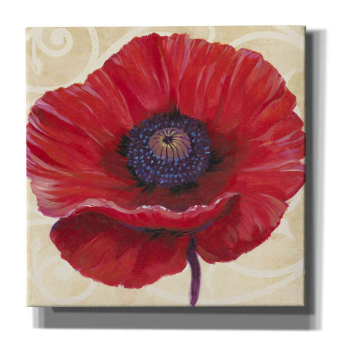 Image of 'Red Poppy II' by Tim O'Toole, Canvas Wall Art