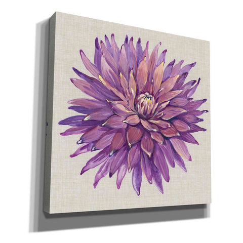 Image of 'Floral Portrait on Linen II' by Tim O'Toole, Canvas Wall Art