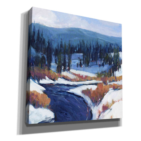 Image of 'Mountain Creek II' by Tim O'Toole, Canvas Wall Art