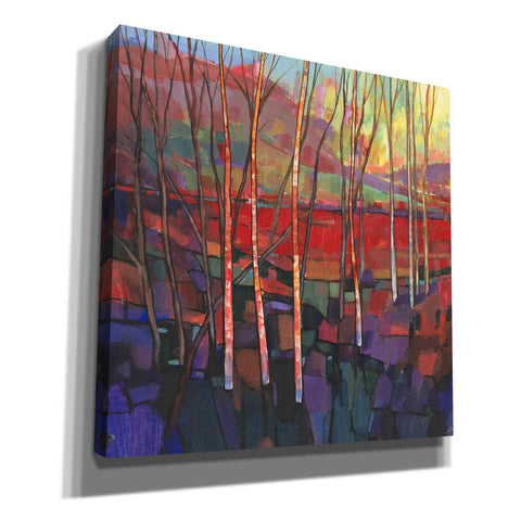 Image of 'Patchwork Trees II' by Tim O'Toole, Canvas Wall Art