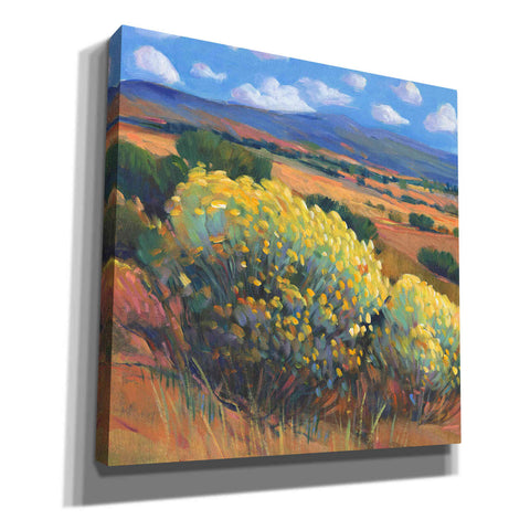 Image of 'Chamisa I' by Tim O'Toole, Canvas Wall Art