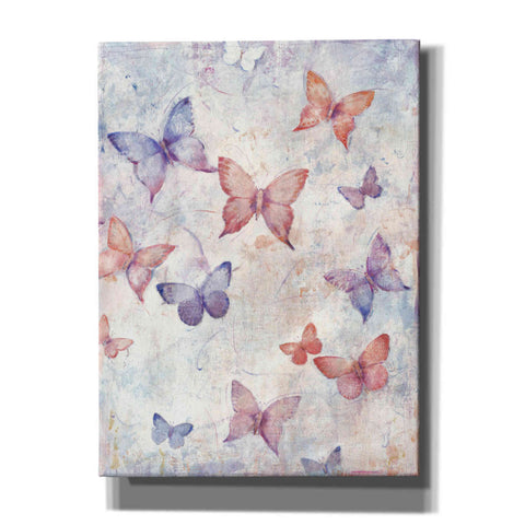 Image of 'In Flight I' by Tim O'Toole, Canvas Wall Art