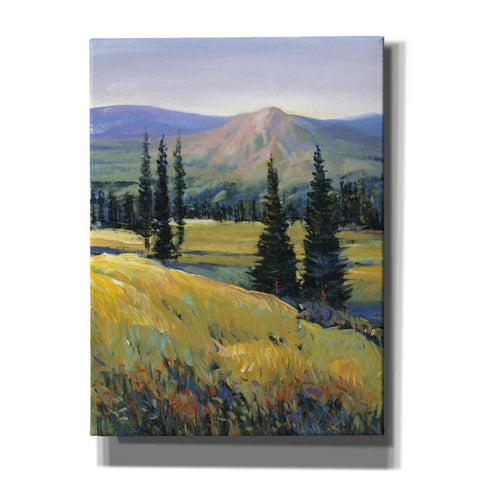 Image of 'Purple Mountain Majesty II' by Tim O'Toole, Canvas Wall Art