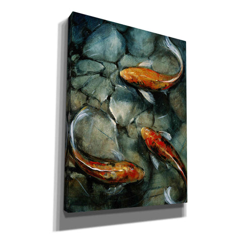 Image of 'Tres Koi I' by Tim O'Toole, Canvas Wall Art
