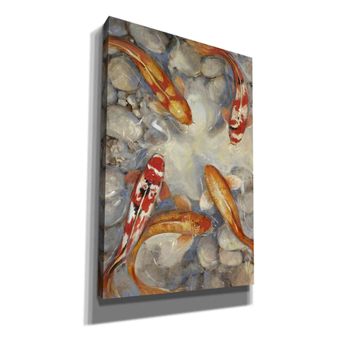Image of 'Vibrant Koi I' by Tim O'Toole, Canvas Wall Art