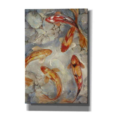 Image of 'Vibrant Koi II' by Tim O'Toole, Canvas Wall Art