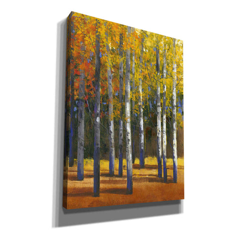 Image of 'Fall in Glory I' by Tim O'Toole, Canvas Wall Art