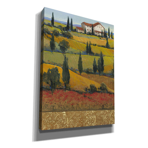 Image of 'Hilltop Villa I' by Tim O'Toole, Canvas Wall Art
