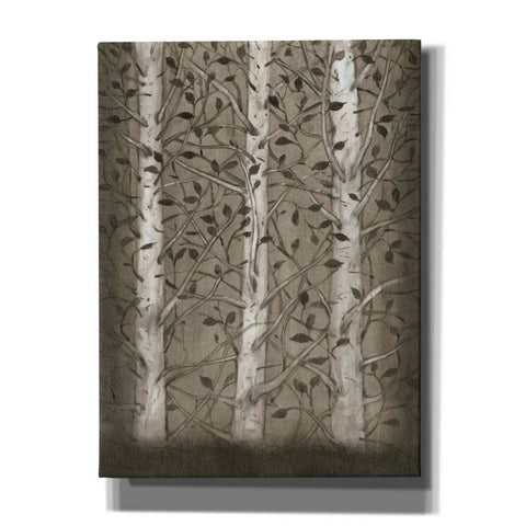Image of 'Intertwine I' by Tim O'Toole, Canvas Wall Art