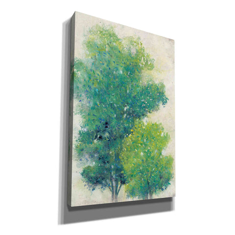 Image of 'A Pair of Trees I' by Tim O'Toole, Canvas Wall Art