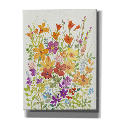 Image of 'Hot Summer Mix I' by Tim O'Toole, Canvas Wall Art