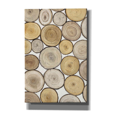 Image of 'Tree Ring Study I' by Tim O'Toole, Canvas Wall Art