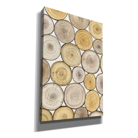 Image of 'Tree Ring Study II' by Tim O'Toole, Canvas Wall Art