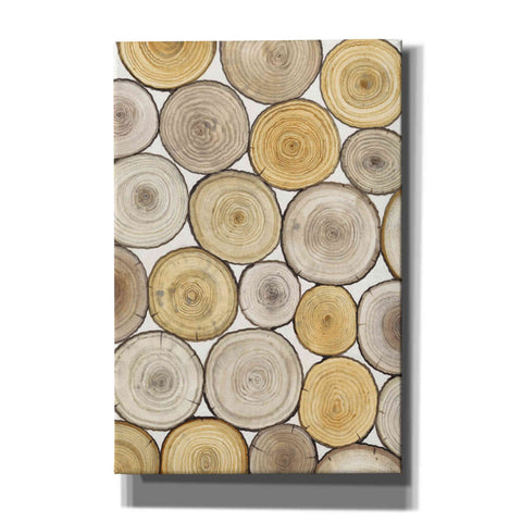 Image of 'Tree Ring Study II' by Tim O'Toole, Canvas Wall Art