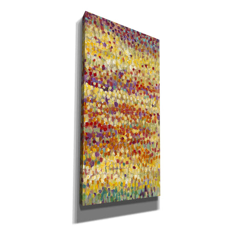 Image of 'Tulips in Bloom II' by Tim O'Toole, Canvas Wall Art