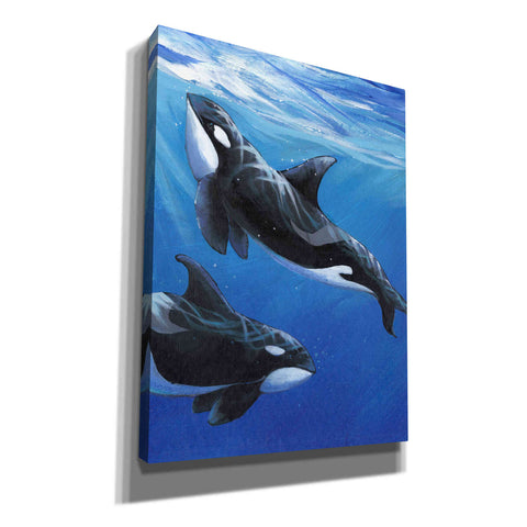 Image of 'Under Sea Whales II' by Tim O'Toole, Canvas Wall Art