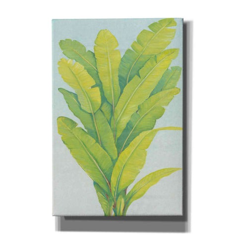 Image of 'Chartreuse Tropical Foliage II' by Tim O'Toole, Canvas Wall Art