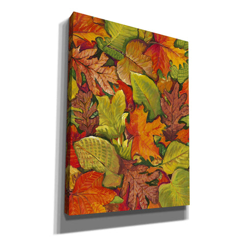 Image of 'Fallen Leaves I' by Tim O'Toole, Canvas Wall Art