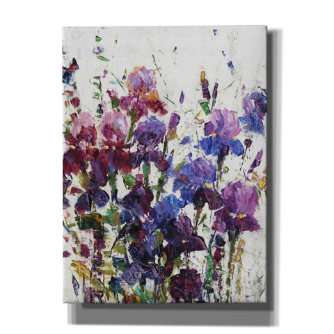 Image of 'Iris Blooming I' by Tim O'Toole, Canvas Wall Art