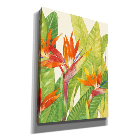 Image of 'Watercolor Tropical Flowers IV' by Tim O'Toole, Canvas Wall Art