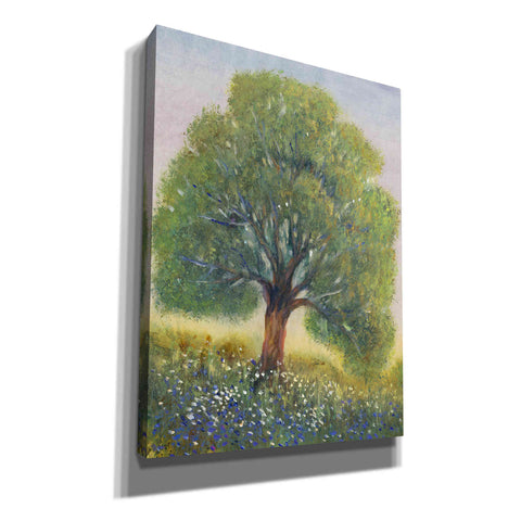 Image of 'Standing in the Field II' by Tim O'Toole, Canvas Wall Art