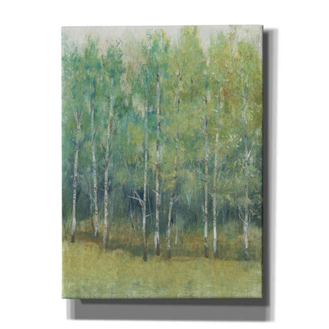 Image of 'Woodland Edge I' by Tim O'Toole, Canvas Wall Art