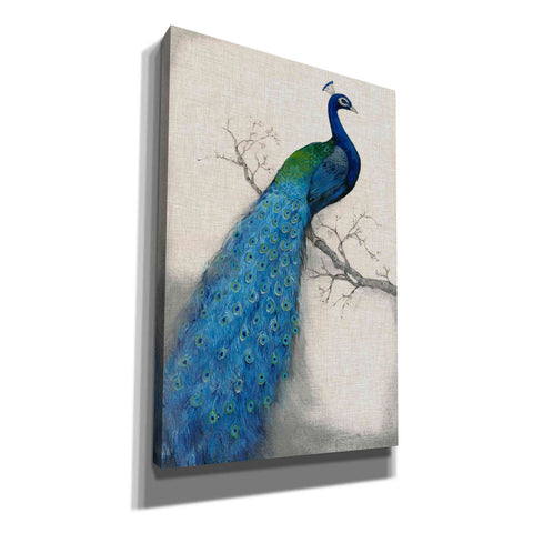 Image of 'Peacock Blue I' by Tim O'Toole, Canvas Wall Art