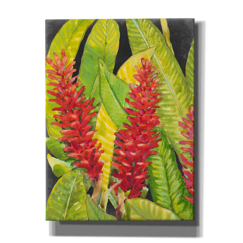 Image of 'Red Tropical Flowers I' by Tim O'Toole, Canvas Wall Art