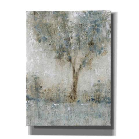 Image of 'Morning Glow I' by Tim O'Toole, Canvas Wall Art