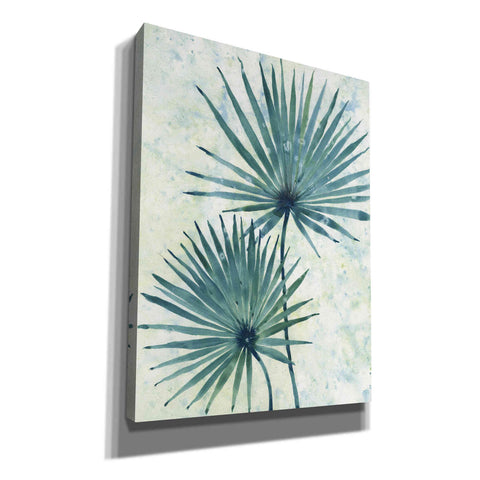 Image of 'Palm Leaves II' by Tim O'Toole, Canvas Wall Art
