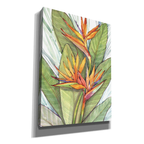 Image of 'Tropical Botanical Paradise I' by Tim O'Toole, Canvas Wall Art