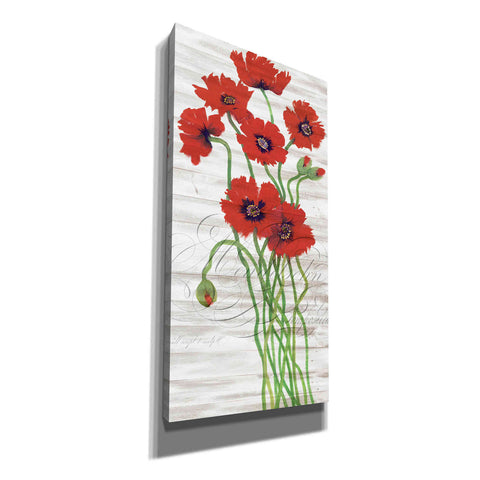 Image of 'Red Poppy Panel I' by Tim O'Toole, Canvas Wall Art