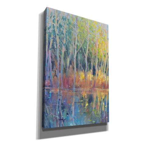 Image of 'Reflected Trees II' by Tim O'Toole, Canvas Wall Art