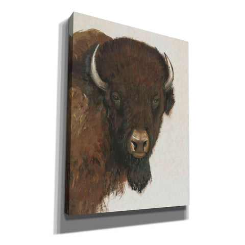 Image of 'Western Portrait II' by Tim O'Toole, Canvas Wall Art