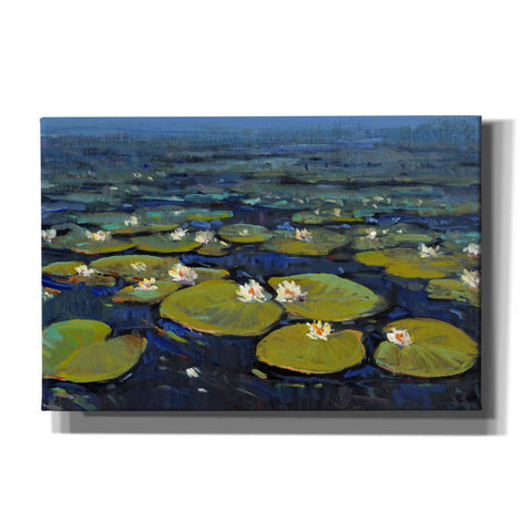 Image of 'Lily Pads II' by Tim O'Toole, Canvas Wall Art