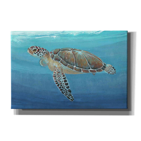 Image of 'Ocean Sea Turtle II' by Tim O'Toole, Canvas Wall Art