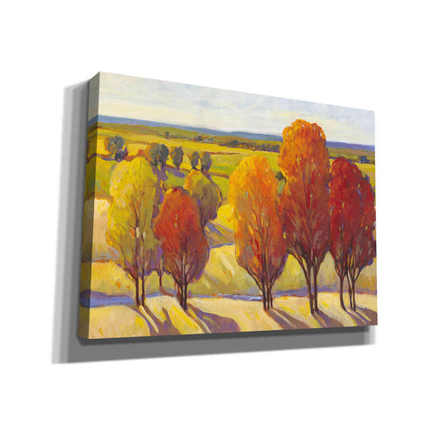 Image of 'Day Glow I' by Tim O'Toole, Canvas Wall Art